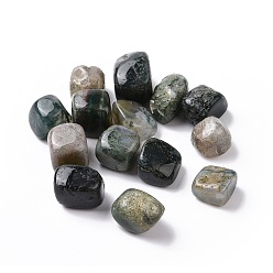 Agate Mousse Mousse naturelle perles en agate, pierre tombée, pierres de guérison pour l'équilibrage des chakras, cristal thérapie, gemmes de remplissage de vase, pas de trous / non percés, nuggets, 7mm, environ17~30x17~24x11~20 pcs / 37 g