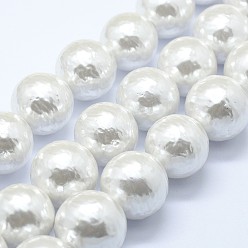 Perle De Coquillage Chapelets de perles nacrées, ronde, blanc crème, 12mm, Trou: 1mm, Environ 34 pcs/chapelet, 15.7 pouce