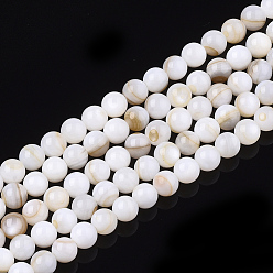 Coquillage De Mer Chapelets de perles en coquille eau douce , ronde, couleur de coquillage, 5mm, Trou: 0.6mm, Environ 88 pcs/chapelet, 15.9 pouce