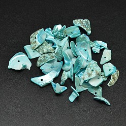 Turquoise Moyen Perles de chips de pépites de coquillages naturels teints, turquoise moyen, 9~23x7~12mm, Trou: 1mm, environ1150 pcs / 500 g