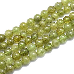Garnet Natural Green Garnet Beads Strands, Round, 8~8.5mm, Hole: 0.8mm, about 46pcs/Strand, 15.08 inch(38.3cm)