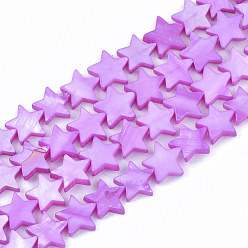 Violet Freshwater Shell Beads Strands, Dyed, Star, Violet, 12x12.5x3mm, Hole: 1mm, about 35pcs/strand, 15.55 inch(39.5cm)