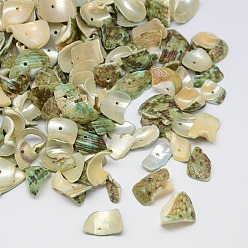 Pale Goldenrod Dyed Natural Spiral Shell Chips Beads, Shell Shards, Pale Goldenrod, 10~20x6~15mm, Hole: 1mm, about 700pcs/500g