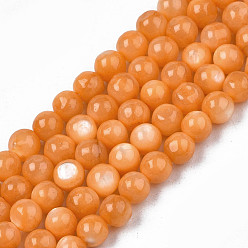 Sandy Brown Natural Freshwater Shell Beads Strands, Dyed, Round, Sandy Brown, 4mm, Hole: 0.8mm, about 97~99pcs/strand, 14.88 inch~15.16 inch(37.8~38.5cm)
