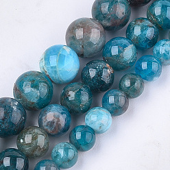 Apatite Perles naturelles apatite brins, classe ab, ronde, 10mm, Trou: 1mm, Environ 38~39 pcs/chapelet, 15.3 pouce