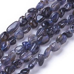 Iolite Natural Iolite Beads Strands, Tumbled Stone, Nuggets, 4~9x4~8mm, Hole: 1mm, about 58~60pcs/strand, 15.7 inch~16.1 inch(40~41cm)