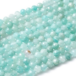 Amazonite Natural Amazonite Bead Strands, Faceted Round, 3mm, Hole: 0.8mm, about 118~130pcs/strand, 15.4 inch
