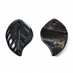 Coquillage Noir Lèvre naturel noir pendentifs coquille, feuille, 15~16x9~10x2mm, Trou: 1mm
