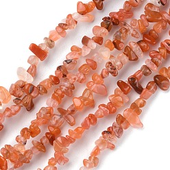 Carnelian Natural Carnelian Beads Strands, Chip, 1.5~4.5x3~13x2.5~8mm, Hole: 0.6mm, 30.94~31.97 inch(78.6~81.2cm)