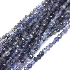 Iolite Natural Iolite Beads Strands, Faceted, Flat Round, 3.5x1.5~2mm, Hole: 0.6mm, about 116pcs/strand, 15.35~15.51 inch(39~39.4cm)
