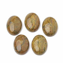 Verge D'or Cabochons naturels à jaspe ondulé, ovale, verge d'or, 25x18x7.5~8mm