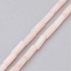 PapayaWhip Natural Shell Bead Strands, Dyed, Column, PapayaWhip, 6x2mm, Hole: 0.5mm, about 67pcs/strand, 15.2 inch