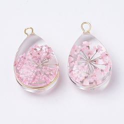 Pink Glass Pendants, with Dried Flower Inside & Brass Findings, teardrop, Golden, Pink, 22~24x13x8mm, Hole: 2mm