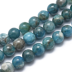 Apatite Natural Apatite Beads Strands, Grade AB, Round, 10mm, Hole: 1.2mm, about 38pcs/strand, 14.9 inch(38cm)
