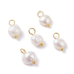White Natural Cultured Freshwater Pearl Charms, with Golden Brass Ball Head pins, Oval, White, 10~12x5.5~7x4.5~6mm, Hole: 2.4~2.7mm