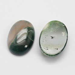 Moss Agate Natural Moss Agate Cabochons, Oval, 25x18x7~10mm.