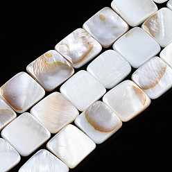 Seashell Color Natural Freshwater Shell Beads Strands, Square, Seashell Color, 12x12x2.5~3mm, Hole: 1mm, about 32pcs/strand, 15.28~15.39 inch(38.8~39.1cm)