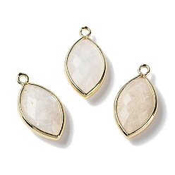 Moonstone Natural White Moonstone Pendants, with Platinum Brass Edge, Faceted, Horse Eye, 22x12x5.5mm, Hole: 1.8mm