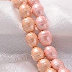 Couleur Mélangete Un poli rangées de perles coquille de nacre ovale année, couleur mixte, 16x13mm, Trou: 1mm, Environ 25~26 pcs/chapelet, 15.7 pouce