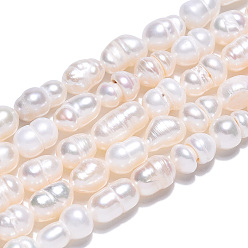 Color de la concha Hilos de perlas de agua dulce cultivadas naturales, cuentas barrocas de arroz con perlas keshi, color de concha, 5~10.5x4~6.5 mm, agujero: 0.6 mm, sobre 28~29 unidades / cadena, 7.09~7.36 pulgada (18~18.7 cm)