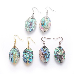 Mixed Color Abalone Shell/Paua Shell Dangle Earrings, with Brass Earring Hooks, Oval with Tree, Mixed Color, 55.5~57.5mm, Pin: 0.6mm