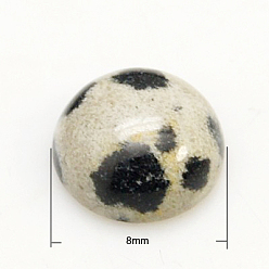 Jaspe Dalmate Cabochons de pierres fines, demi-tour / dôme, dalmate jaspe, 8x3.5mm