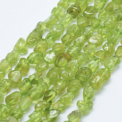 Peridot Natural Peridot Beads Strands, Tumbled Stone, Grade AB, Nuggets, 5~11x5~7mm, Hole: 1mm, 15.3 inch~15.7 inch(39~40cm)