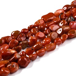 Red Agate Natural Red Agate Beads Strands, Nuggets, Tumbled Stone, 5~8.5x5.5~7x3.5~4mm, Hole: 0.7mm, about 64pcs/strand, 16.34 inch(41.5cm)