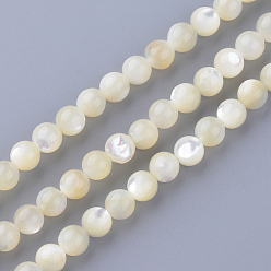 Autres Coquillages De Mer Naturelles coquillage perles brins, ronde, 4~4.5mm, Trou: 1mm, Environ 86 pcs/chapelet, 15.7 pouce