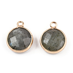 Labradorite Natural Labradorite Charms, Faceted, with Golden Plated Brass Edge and Loop, Flat Round, 14.5x11.5x4.5mm, Hole: 1.5mm