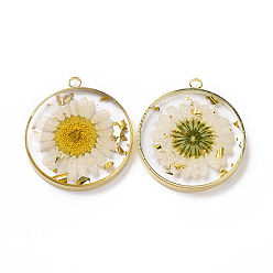 Old Lace Transparent Clear Epoxy Resin Pendants, with Edge Golden Plated Brass Loops and Gold Foil, Flat Round Charms with Inner Flower, Old Lace, 33.8x30x4mm, Hole: 2.5mm