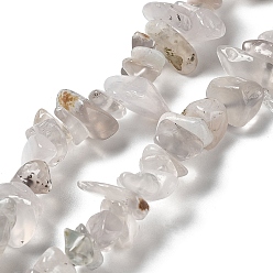 Chalcedony Natural Chalcedony Beads Strands, Chip, 1~8x5~17x5~8mm, Hole: 0.9~1mm, 30.31~31.50''(77~80cm)