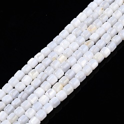 Concha de Agua Dulce Cuentas de concha de perla natural hebras, columna, 3.5x3.5 mm, agujero: 0.8 mm, sobre 110~113 unidades / cadena, 14.69 pulgada ~ 15.08 pulgada (37.3~38.3 cm)