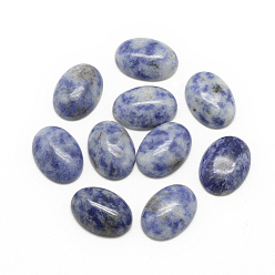 Jaspe Avec Point Bleu Cabochons naturels bleus, ovale, 10x8x4~5mm