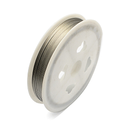 Серебро Проволока для тигра, нержавеющая сталь с нейлоновым покрытием, серебряные, 0.45 мм, около 180.44 футов (55 м) / рулон, 10 рулонов / набор