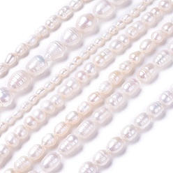 Blanco Hilos de perlas de agua dulce cultivadas naturales, blanco, 4~17x4~17 mm, agujero: 0.5~1 mm, sobre 20~96 unidades / cadena, 13.5 pulgada ~ 15.2 pulgada (34.5~38.5 cm)