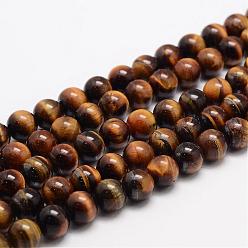 Tiger Eye Natural Tiger Eye Bead Strands, Round, Grade AB+, 6mm, Hole: 1mm, about 63pcs/strand, 15.5 inch
