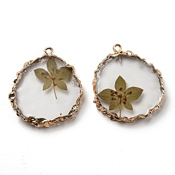 Dark Khaki Inner Dried Flower Resin Pendants, Flat Round Charms with Light Gold Plated Brass Edge and Iron Loops, Dark Khaki, 34~36x30~31.5x4.5~5.5mm, Hole: 2mm