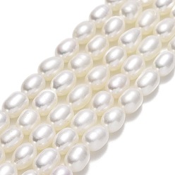 Lino Hilos de perlas de agua dulce cultivadas naturales, arroz, lino, 5.5~7x4~5 mm, agujero: 0.7 mm, sobre 55~60 unidades / cadena, 14.57'' (37 cm)