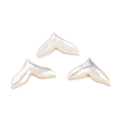 Blanco Cabochons naturales de la cáscara del mar, cola de pescado, blanco, 8.5x13.5x2 mm