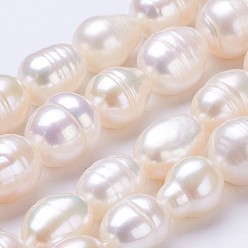 Seashell Color Natural Cultured Freshwater Pearl Beads Strands, Rice, Seashell Color, 9~11x8~9mm, Hole: 0.5mm, about 35~36pcs/strand, 14 inch