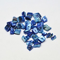 Royal Blue Dyed Natural Freshwater Shell Chips Beads, Shell Shards, Royal Blue, 7~11x5~8mm, Hole: 1mm, about 980pcs/500g