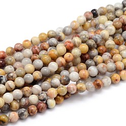 Crazy Agate Natural Gemstone Round Bead Strands, Crazy Agate, 6mm, Hole: 1mm, about 64pcs/strand, 16 inch