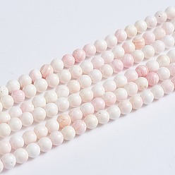 Coquillage Rose Brins de perles de coquillage rose naturel, ronde, 2.5~3mm, Trou: 0.5mm, environ 154 pcs / brin, 15.94 pouce (40.5 cm)