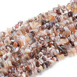 Botswana Agate Natural Botswana Agate Beads Strands, Chip, 5~8mm, Hole: 1mm, 33.86 inch(86cm)