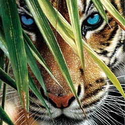 Tigre Kits de pintura de diamantes rectangulares diy, incluyendo lienzo, diamantes de imitación de resina, bolígrafo adhesivo de diamante, plato de bandeja y arcilla de cola, patrón de tigre, 400x300 mm
