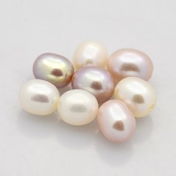 Mixed Color Natural Cultured Freshwater Pearl Beads, Half Drilled, Rice, Grade AAA, Mixed Color, 5~6x4.5~5mm, Half Hole: 1mm