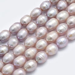Dark Orchid Natural Cultured Freshwater Pearl Beads Strands, Rice, Dark Orchid, 8~13x7mm, Hole: 0.8mm, about 42pcs/strand, 14 inch(35.5cm)