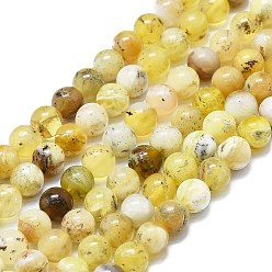 Opale Jaune Jaunes naturelles perles d'opale brins, ronde, 6mm, Trou: 0.6mm, Environ 62~64 pcs/chapelet, 14.96''~15.35'' (38~39 cm)