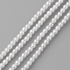 White Shell Pearl Beads Strands, Round, White, 2mm, Hole: 0.5mm, about 190pcs/strand, 15.7 inch